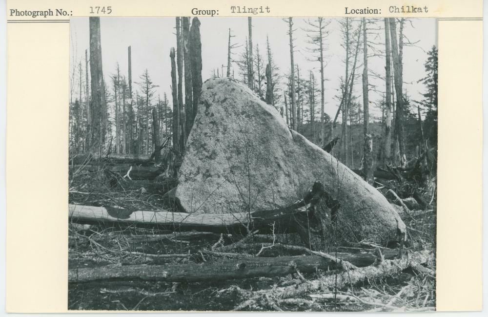 Image representing photograph.
