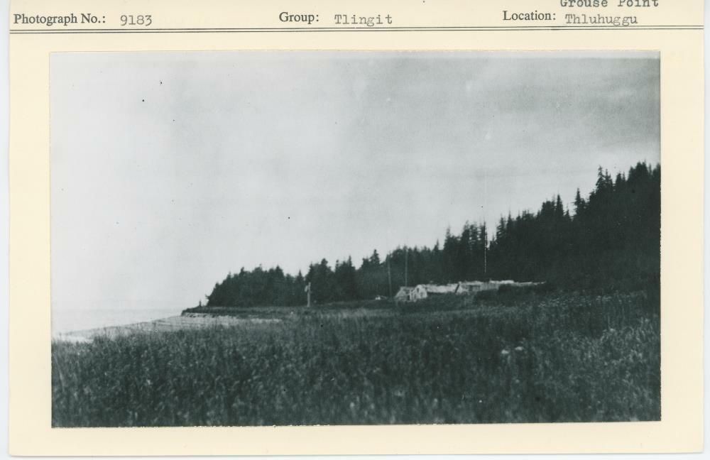 Image representing photograph.