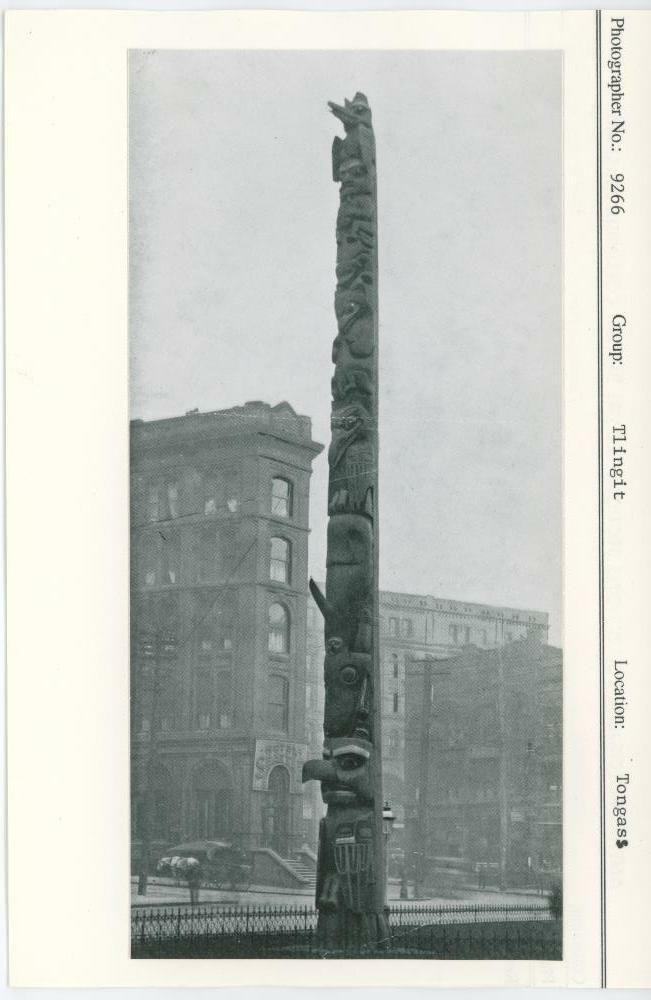 Image representing photograph.