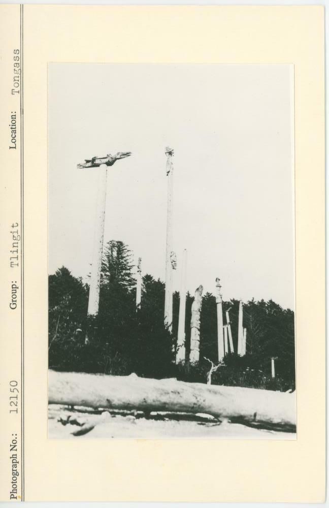Image representing photograph.