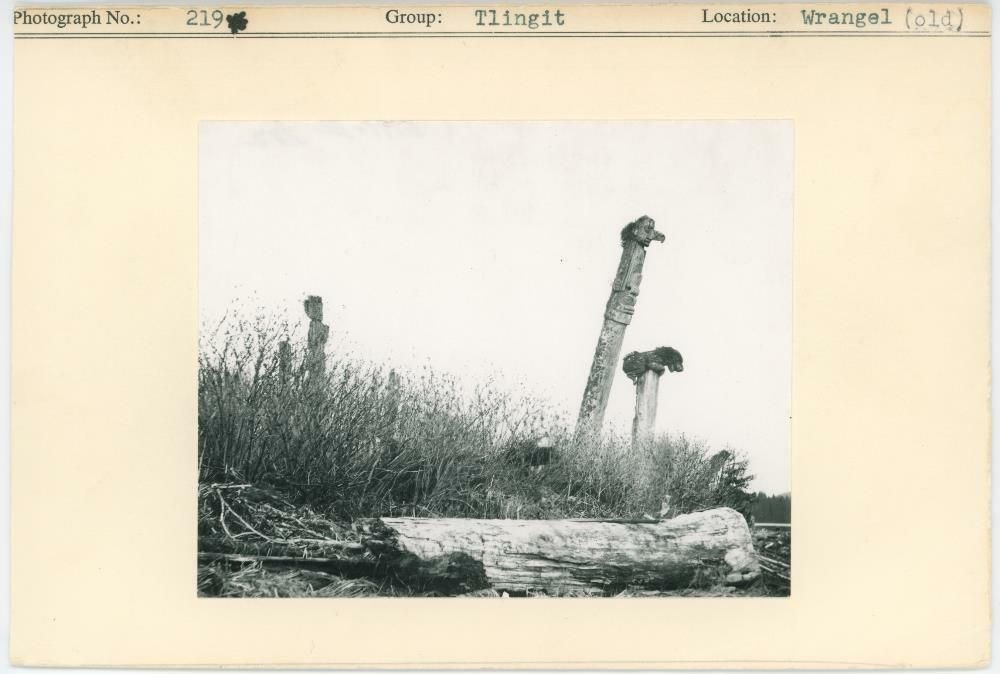 Image representing photograph.