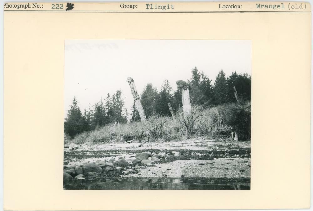 Image representing photograph.
