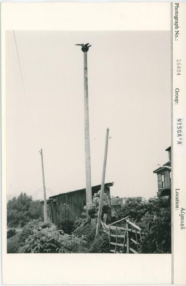 Image representing photograph.