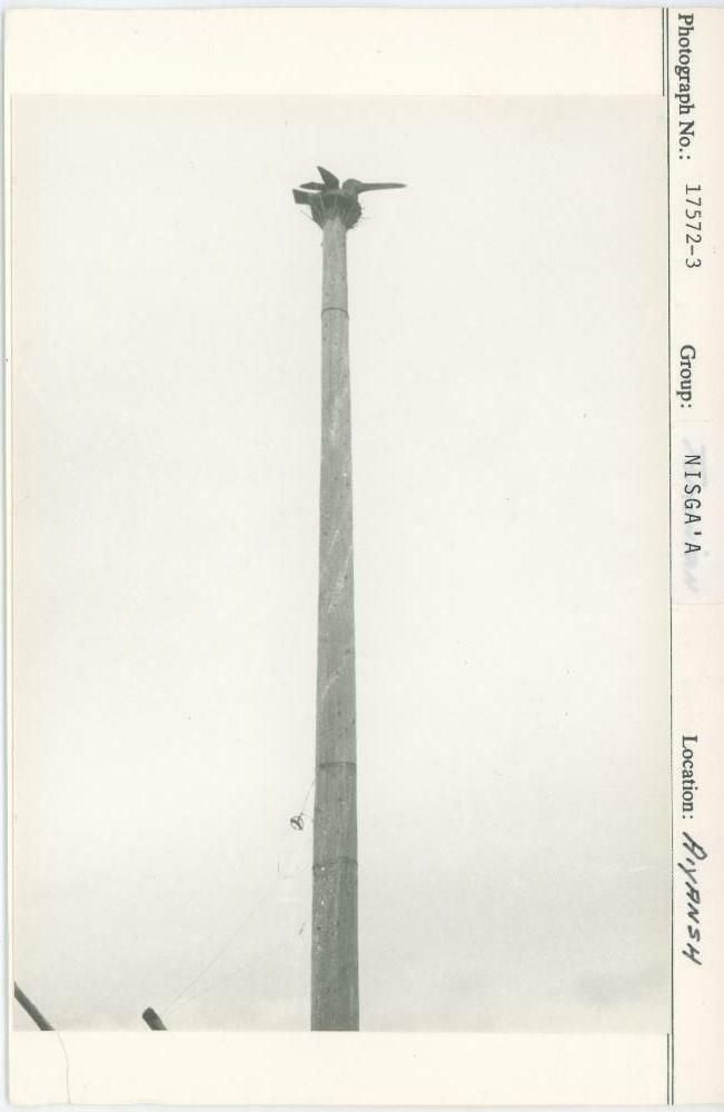 Image representing photograph.