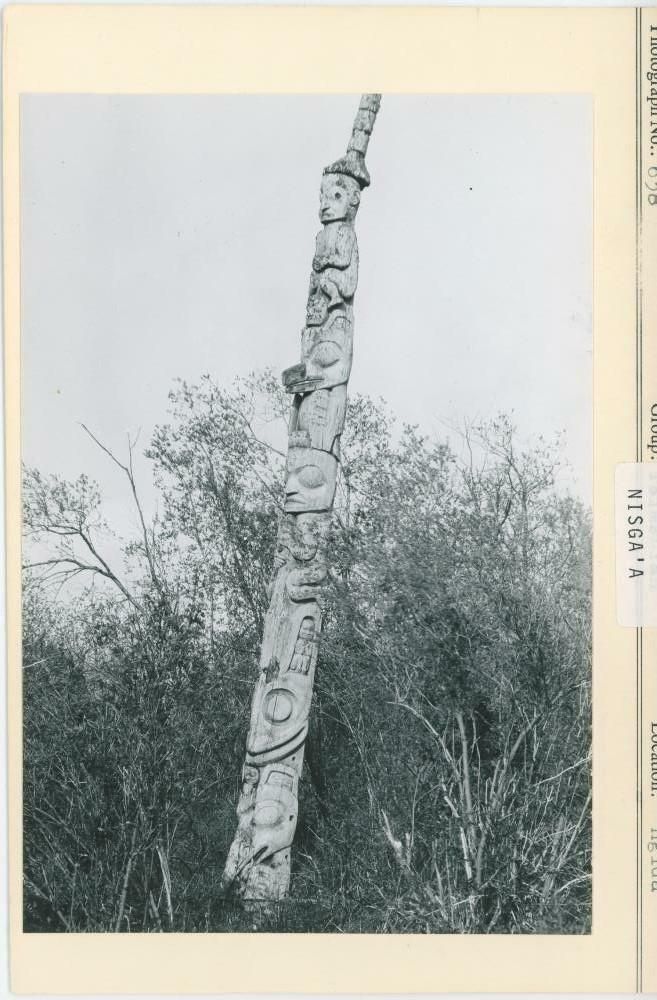 Image representing photograph.