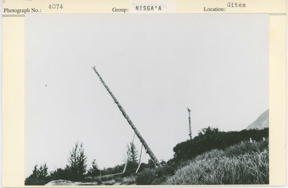 Image representing photograph.