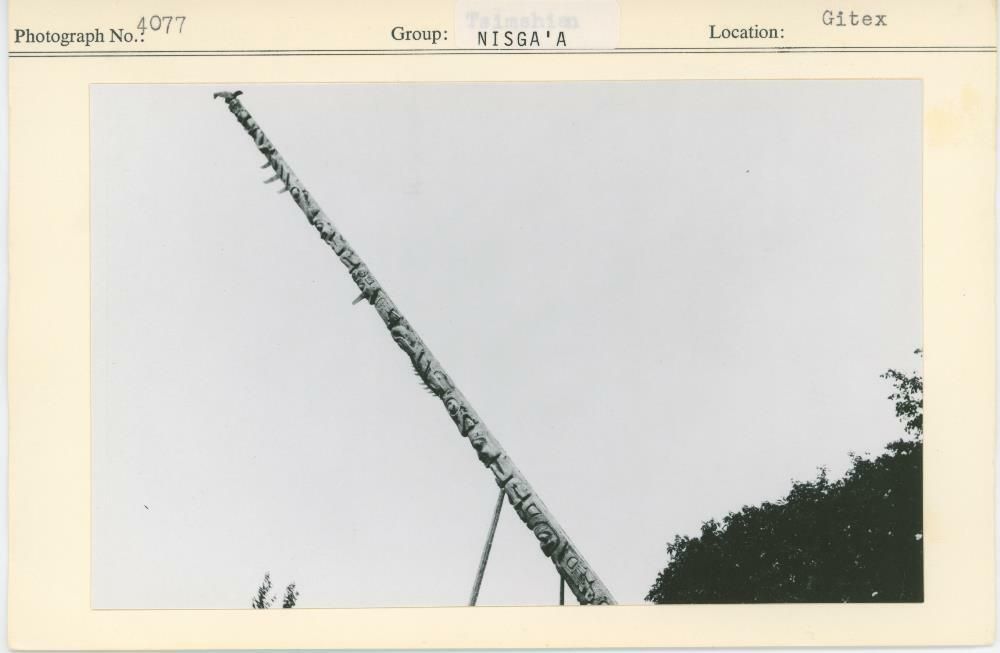 Image representing photograph.