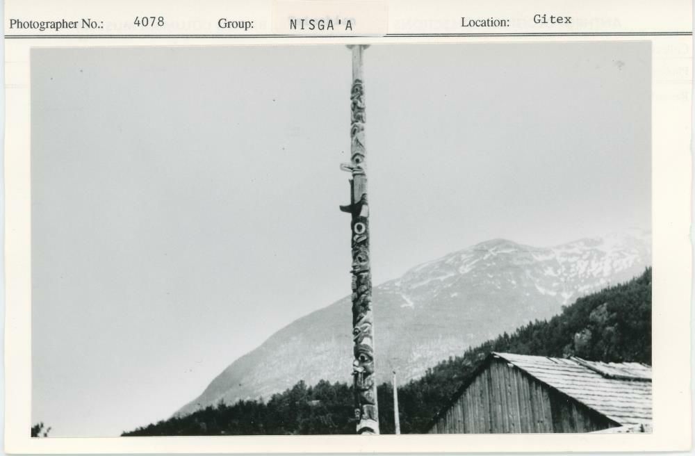 Image representing photograph.
