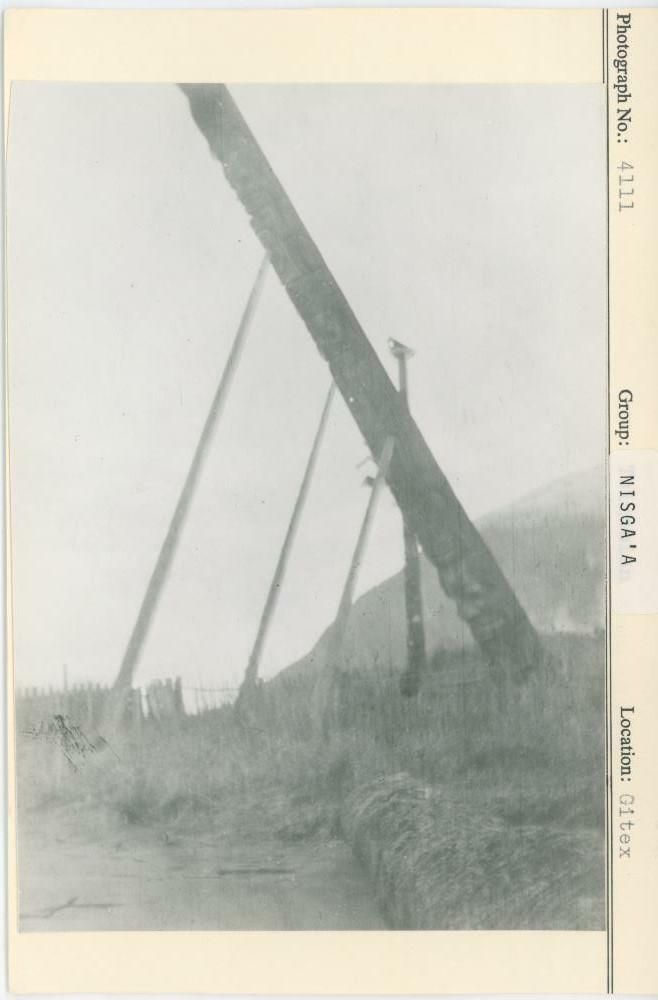 Image representing photograph.