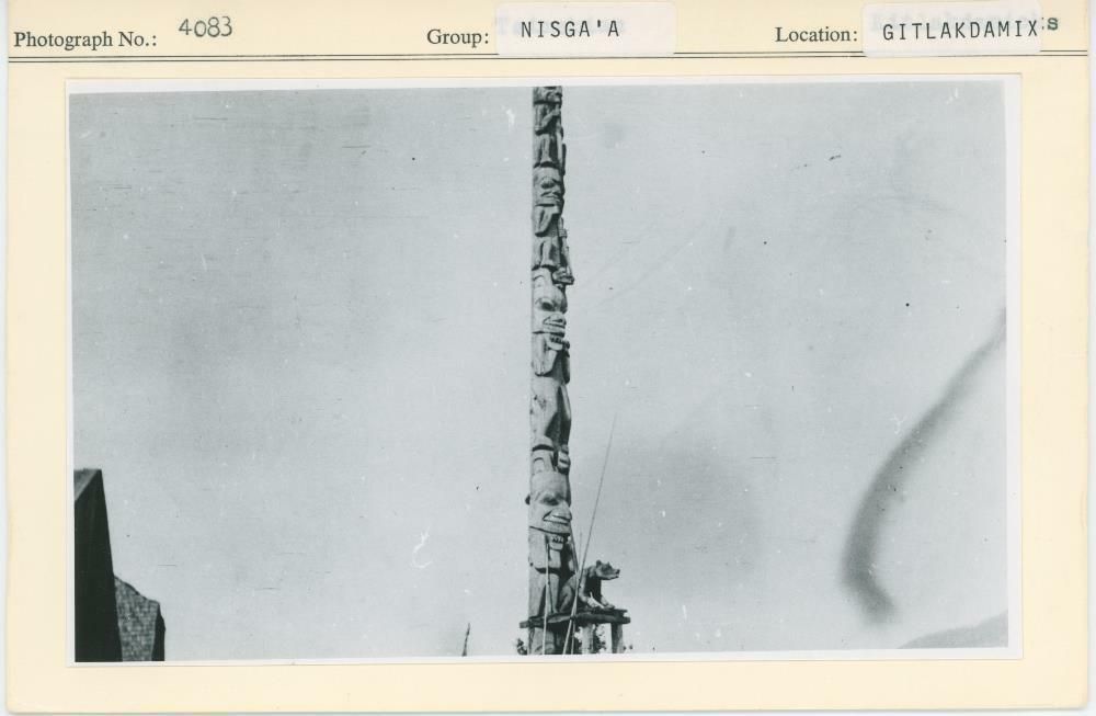 Image representing photograph.