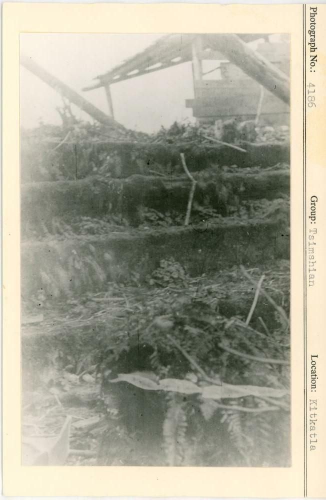 Image representing photograph.