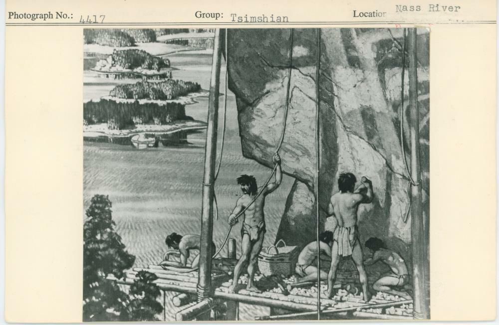 Image representing photograph.