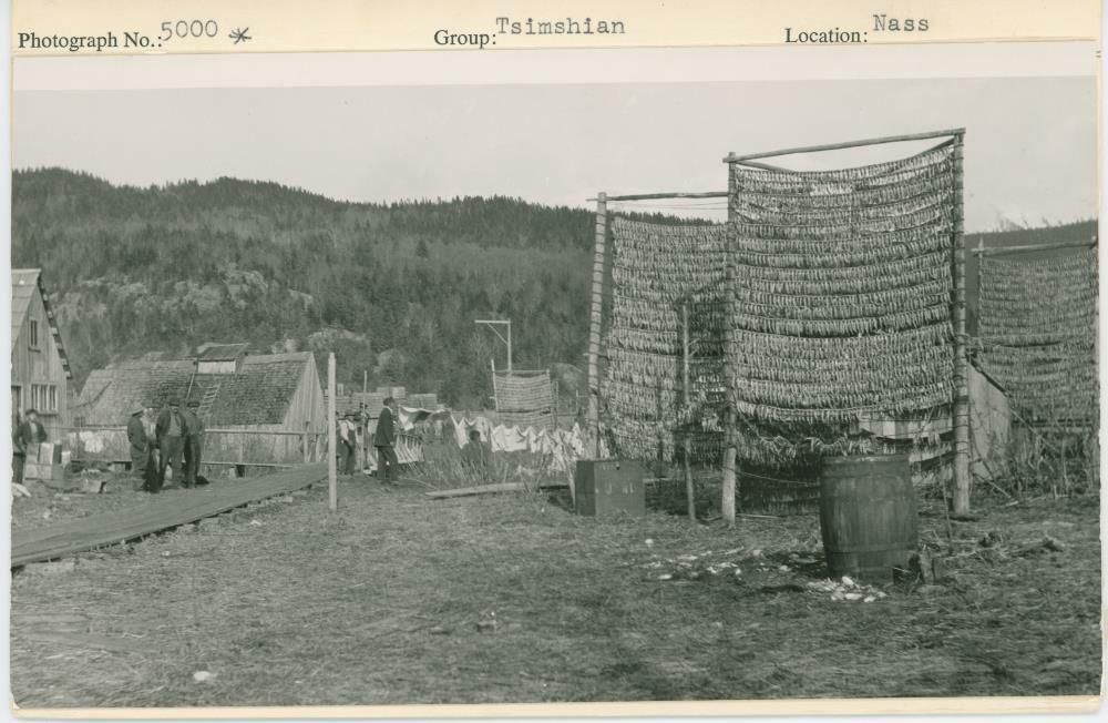 Image representing photograph.