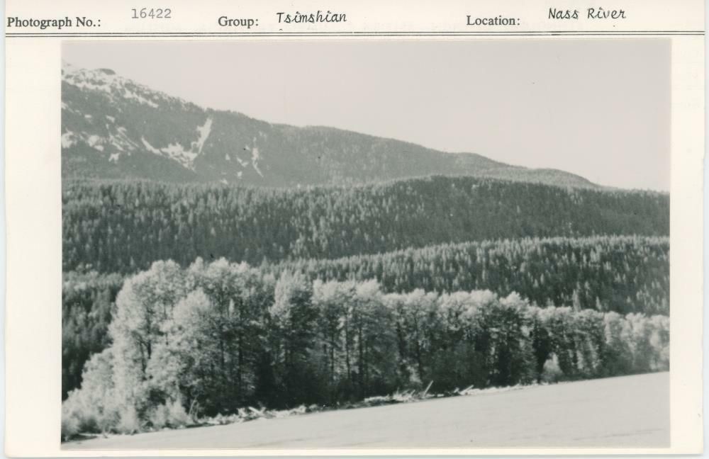 Image representing photograph.