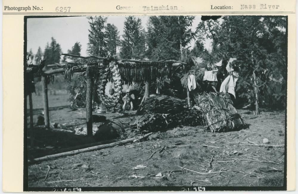 Image representing photograph.