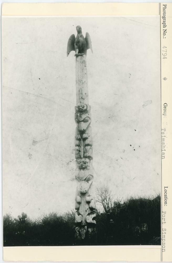 Image representing photograph.