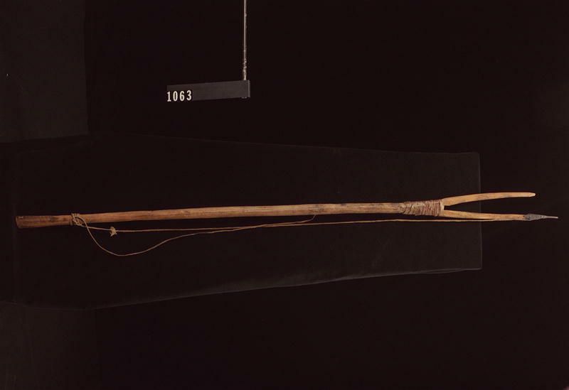 Image representing Spear.