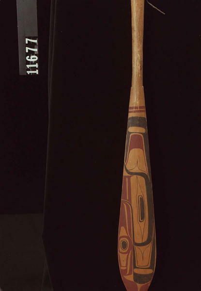 Image representing Paddle.