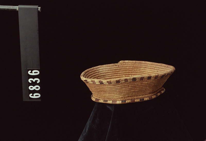 Image representing Basket.