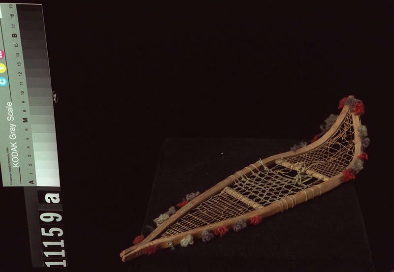 Image representing Snowshoe.