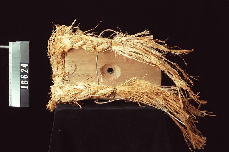 Image representing Mask.
