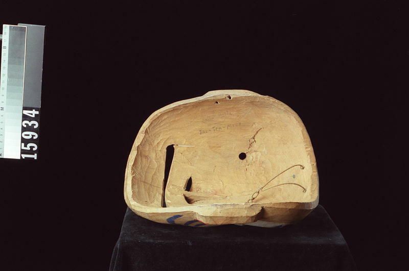 Image representing Mask.