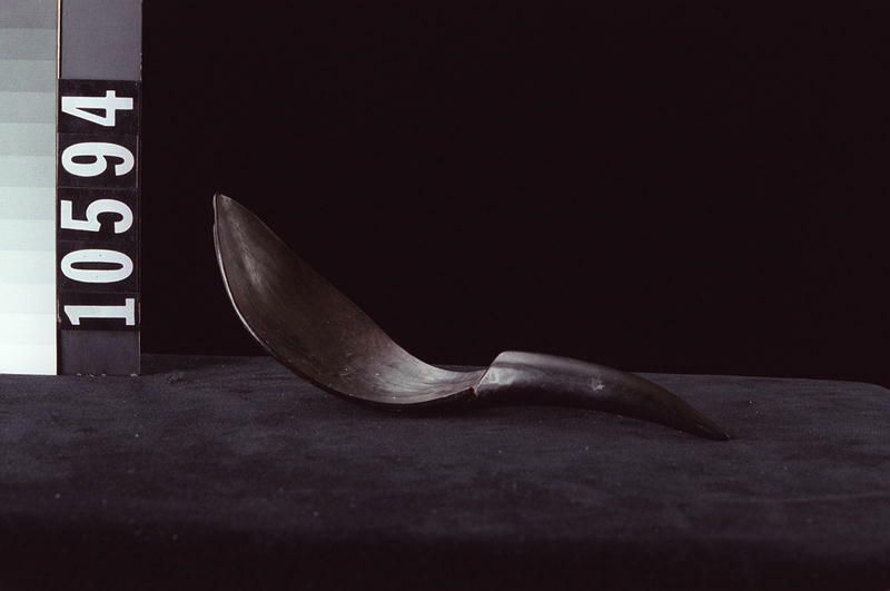 Image representing Spoon.