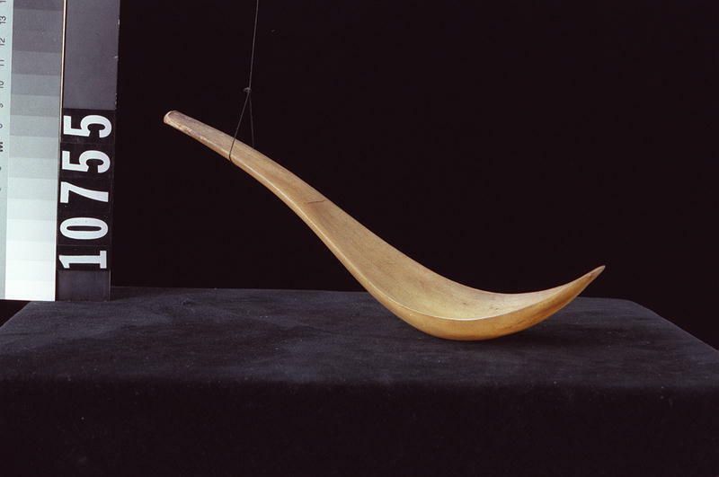 Image representing Spoon.