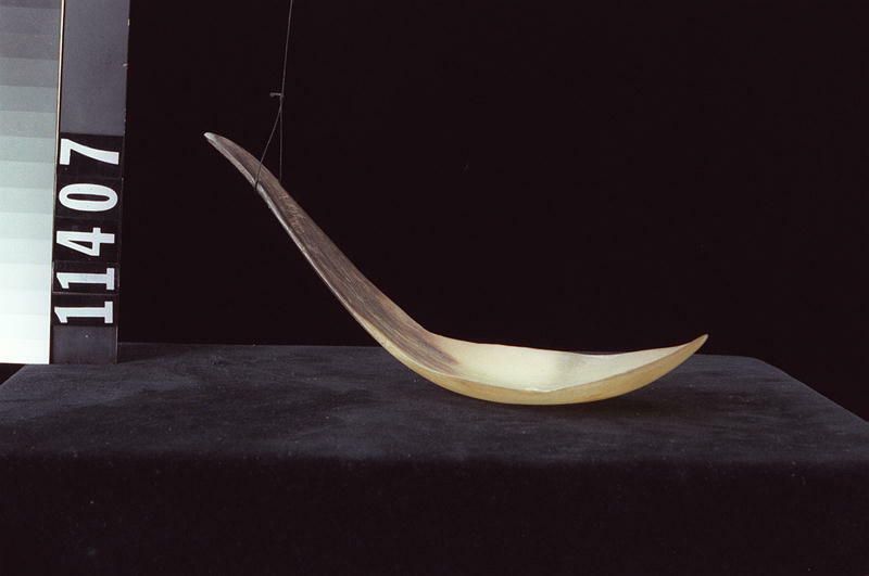 Image representing Spoon.