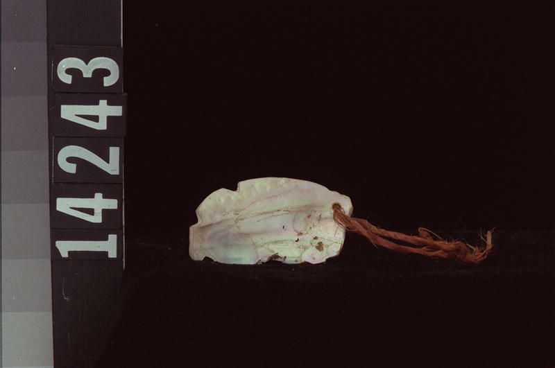 Image representing Pendant ?.