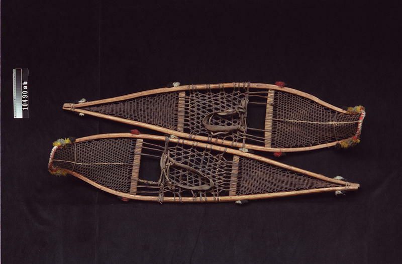 Image representing Snowshoe.