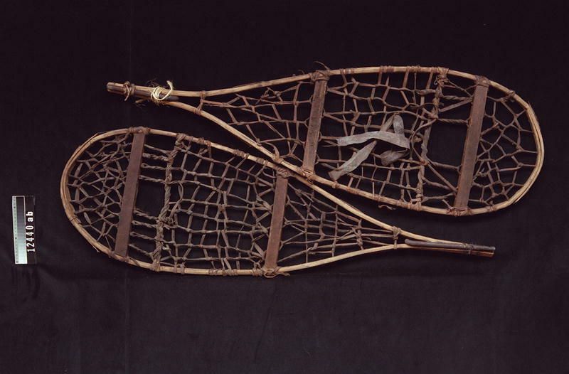 Image representing Snowshoe.