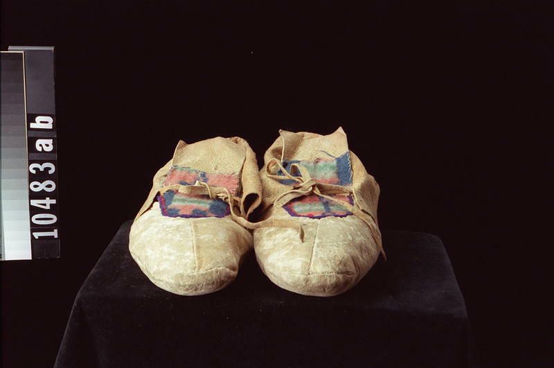 Image representing Moccasin.