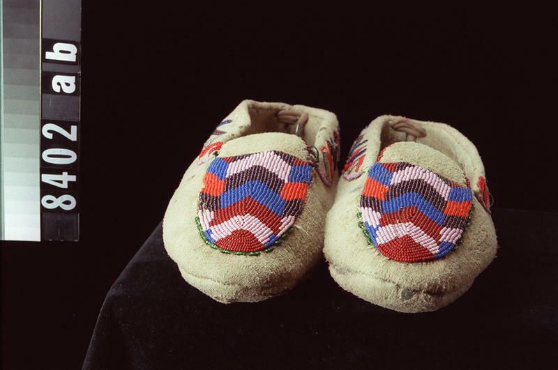 Image representing Moccasin.
