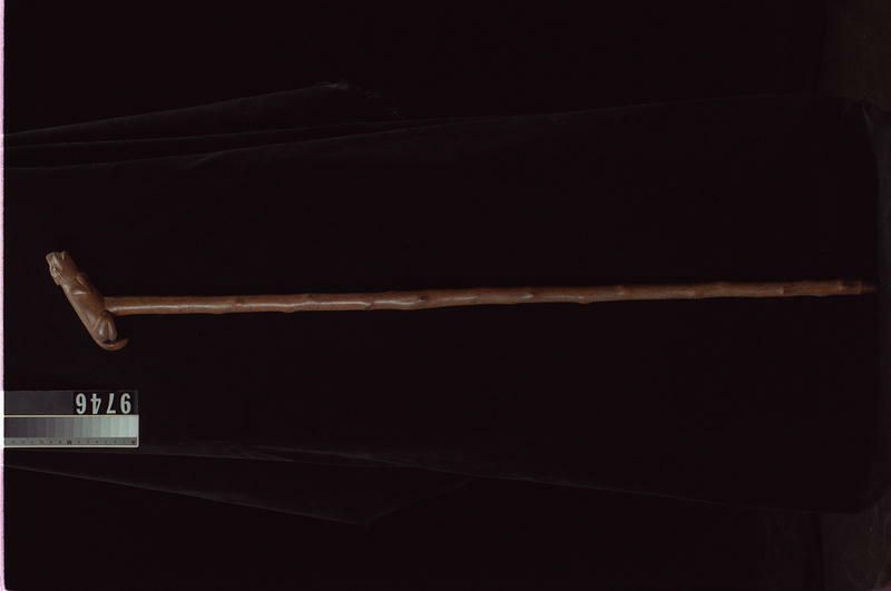 Image representing Cane.
