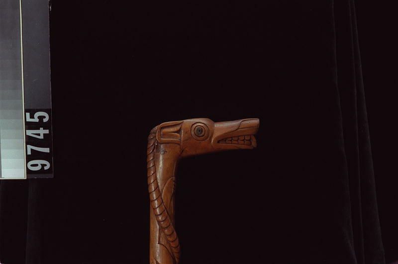 Image representing Cane.
