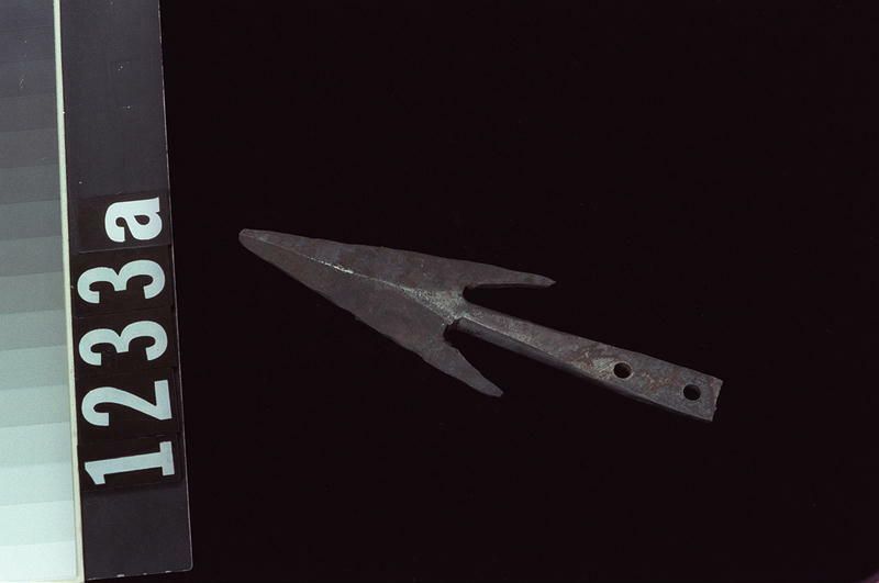 Image representing Harpoon Head.