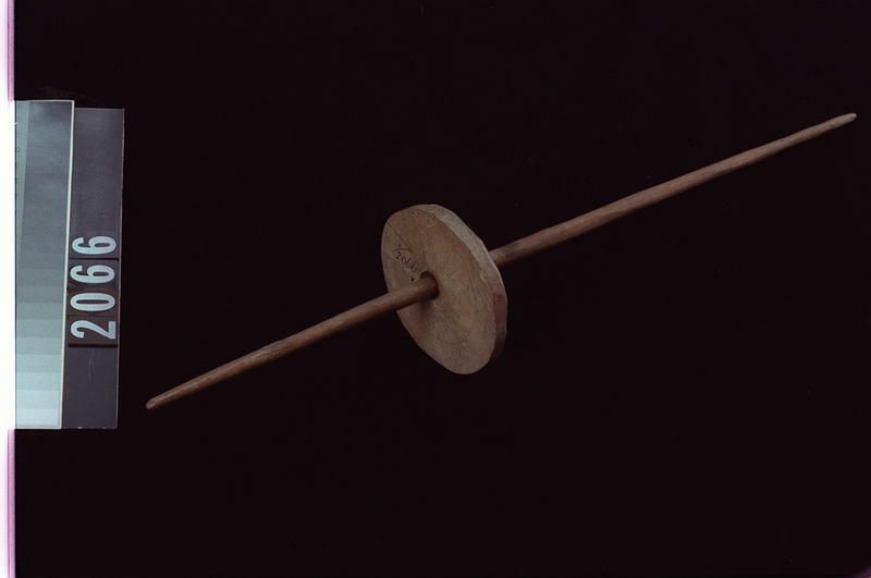Image representing Spindle; Whorl.
