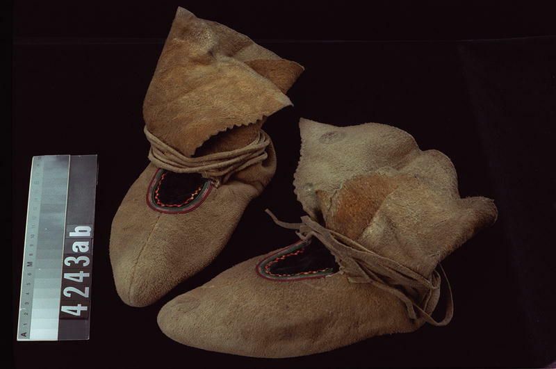 Image representing Moccasin.