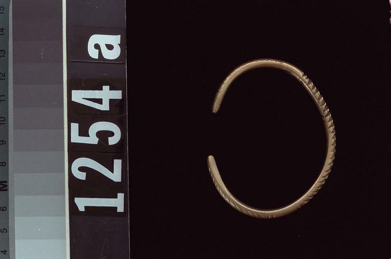 Image representing Bracelet.
