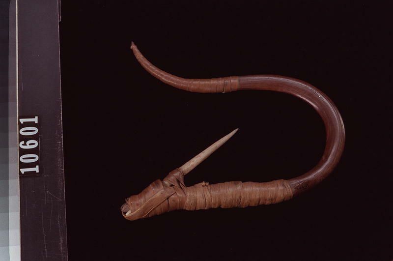 Image representing Hook.