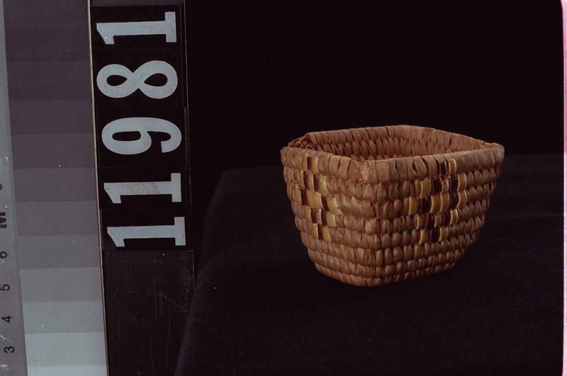 Image representing Basket.
