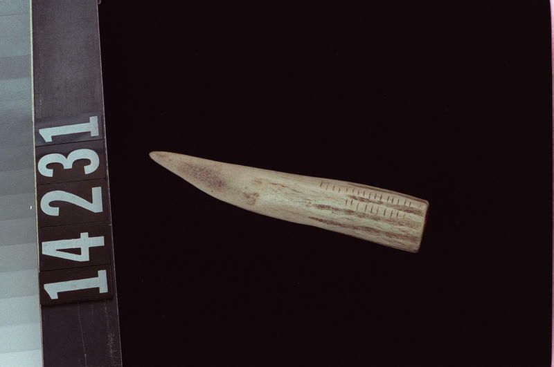 Image representing Tool.