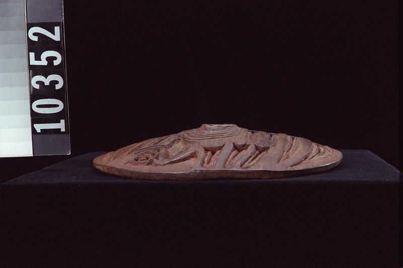 Image representing Whorl.