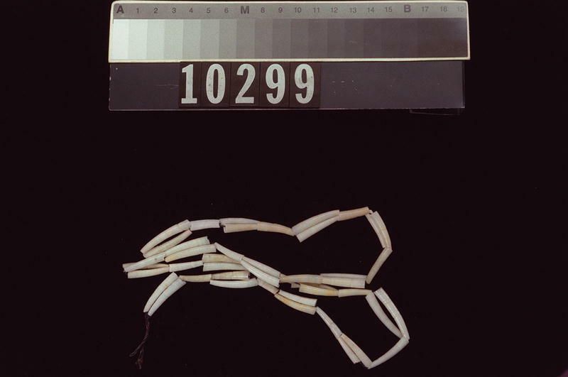 Image representing Necklace.