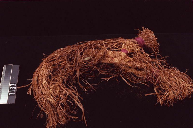 Image representing Headdress.