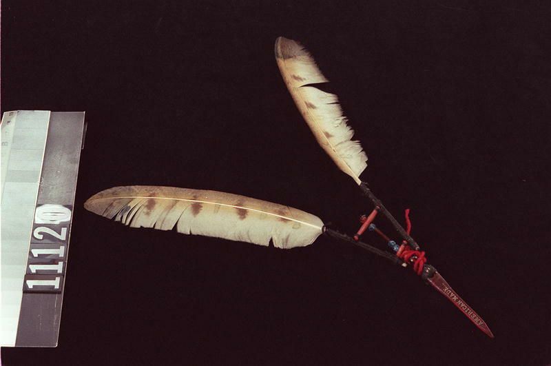 Image representing Feather.