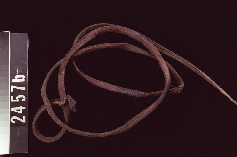 Image representing Skin.