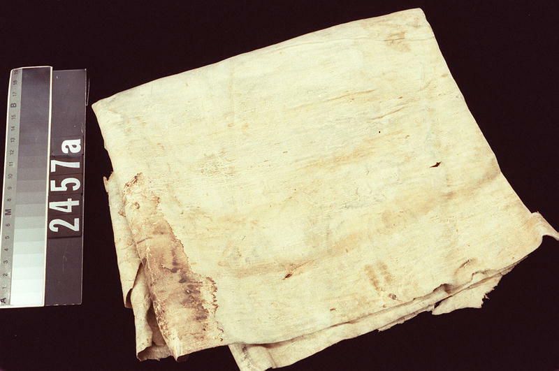 Image representing Skin.