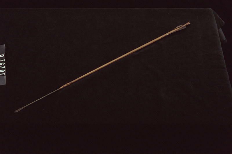 Image representing Arrow.
